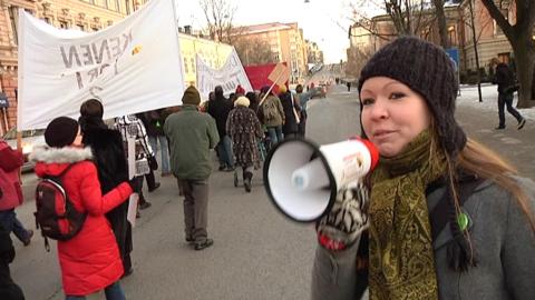 Meikäläinen johtamassa kansanäänestystä vaativaa mielenosoitusta helmikuussa 2009